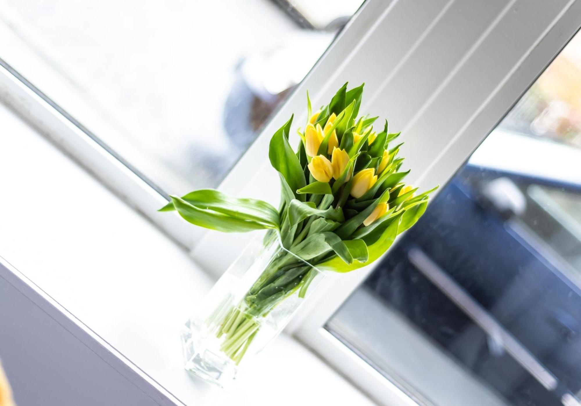 Albion Apartment By Klass Living Coatbridge Kültér fotó